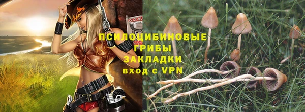 винт Арсеньев